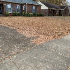 Another Leaf Removal in Memphis, TN 0