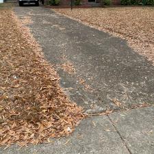 Another Leaf Removal in Memphis, TN 1