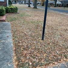 Another Leaf Removal in Memphis, TN 2