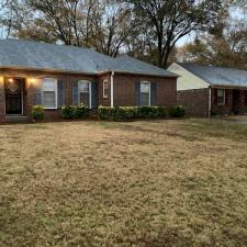 Another Leaf Removal in Memphis, TN