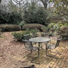 Backyard Leaf Removal in Memphis, TN