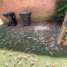 Collierville Early Fall Leaf Removal 9