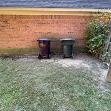 Collierville Early Fall Leaf Removal 10