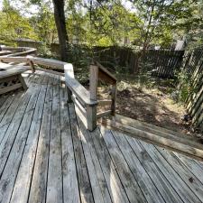 Collierville Early Fall Leaf Removal