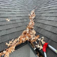 Collierville, TN Roof Washing & Gutter Cleaning 35