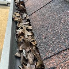 Gutter Cleaning Cordova 22