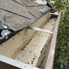 Germantown House Soft Wash, Pressure Cleaning, and Gutter Cleaning 1
