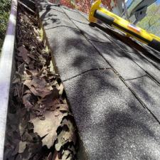 Germantown House Roof Gutter 3