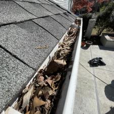 Germantown House Roof Gutter 9