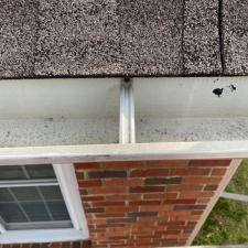 Gutter Cleaning Repairing 18