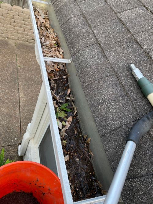 Gutter cleaning services in cordova tn  (1)