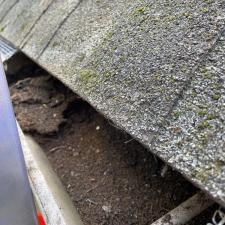 Gutter Cleaning Services in Memphis, TN 6