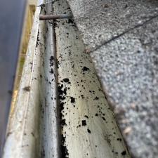 Gutter Cleaning Services in Memphis, TN 8
