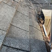 Gutter Cleaning Services in Memphis, TN 9