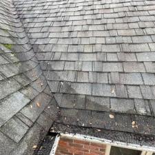 Lakeland Roof Cleaning & Exterior Maintenance 43