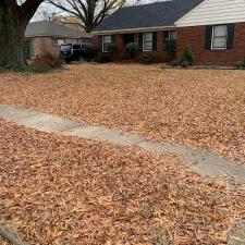 Leaf Removal in Memphis, TN 1