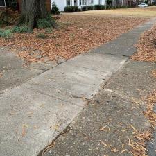 Leaf Removal in Memphis, TN 2