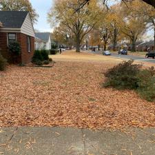 Leaf Removal in Memphis, TN 3