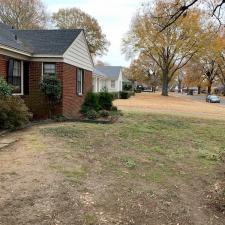 Leaf Removal in Memphis, TN 5