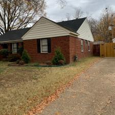 Leaf Removal in Memphis, TN 7