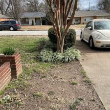 Leaf Removal on Cranford Rd in Memphis, TN 3