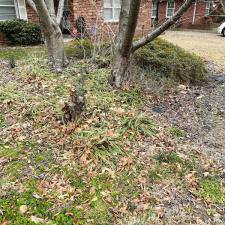 Leaf Removal on Cranford Rd in Memphis, TN 5