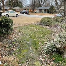 Leaf Removal on Cranford Rd in Memphis, TN 6