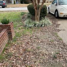 Leaf Removal on Cranford Rd in Memphis, TN 8