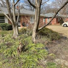 Leaf Removal on Cranford Rd in Memphis, TN 11