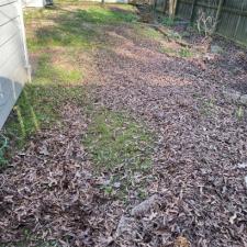 Leaf Removal Services in East Memphis, TN 2
