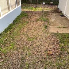 Leaf Removal Services in East Memphis, TN 3