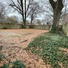 Leaf Removal Services in Memphis, TN 1