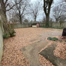 Leaf Removal Services in Memphis, TN 2