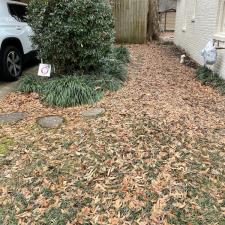 Leaf Removal Services in Memphis, TN 3