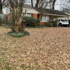 Leaf Removal Services in Memphis, TN 4