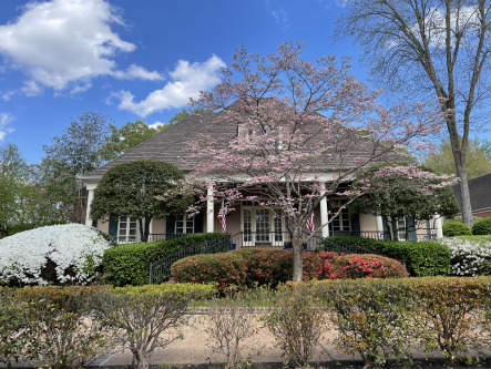 Pressure washing and gutter cleaning in cordova tn  (13)