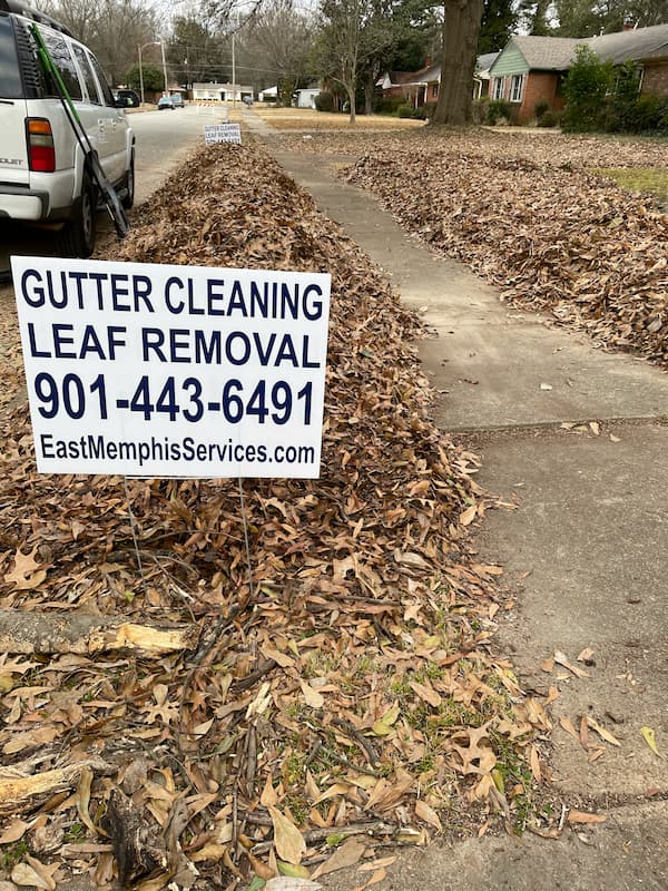 Professional leaf removal in memphis tn