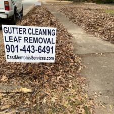 Professional Leaf Removal in Memphis, TN
