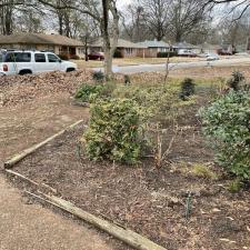 Professional Leaf Removal in Memphis, TN 6