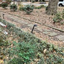 Professional Leaf Removal in Memphis, TN 14