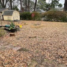 Professional Leaf Removal in Memphis, TN 15