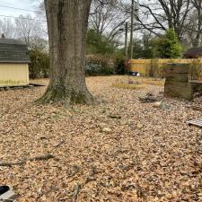 Professional Leaf Removal in Memphis, TN 16