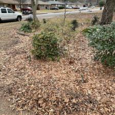 Professional Leaf Removal in Memphis, TN 17