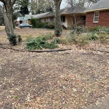 Professional Leaf Removal in Memphis, TN 18