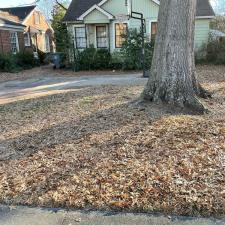 Professional Leaf Removal Services in Memphis, TN 1