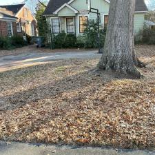 Professional Leaf Removal Services in Memphis, TN 1