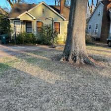 Professional Leaf Removal Services in Memphis, TN 2