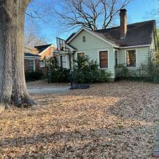 Professional Leaf Removal Services in Memphis, TN 3