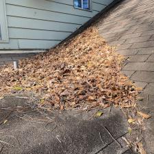 Professional Leaf Removal Services in Memphis, TN 5