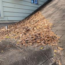 Professional Leaf Removal Services in Memphis, TN 5